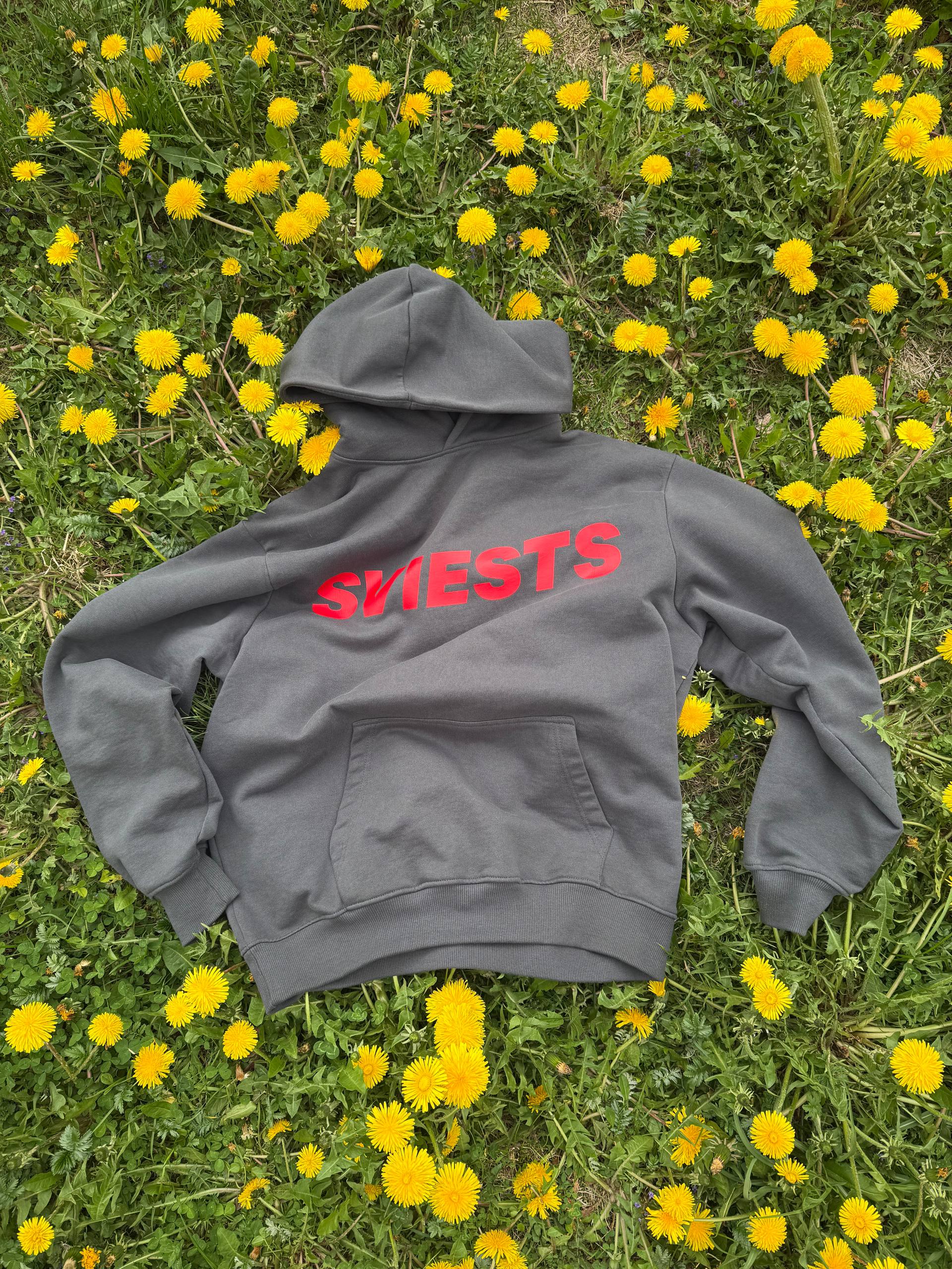hoodie2